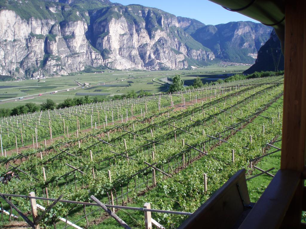Agritur Maso Barco Villa Faedo Eksteriør billede