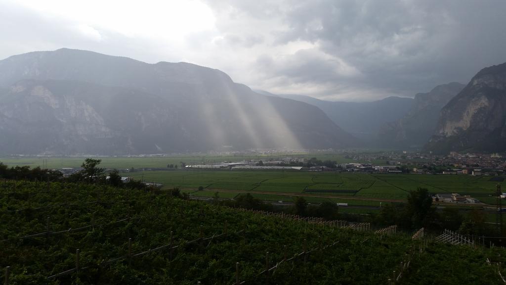 Agritur Maso Barco Villa Faedo Eksteriør billede
